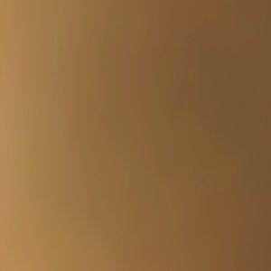 Meet your Posher, Nikita